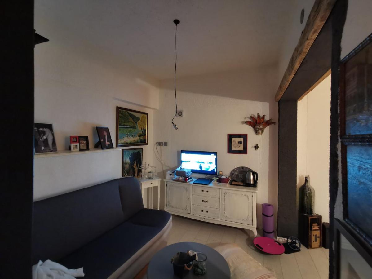 & Studio Pekica *